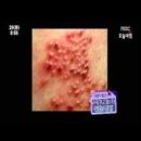 연세고운피부과의원 이미지