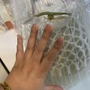 안산테크마의원 이미지