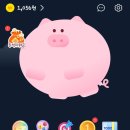 돈이돼지 이미지