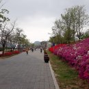 경인운하 아라뱃길의 철쭉꽃길을 라이딩하며~~ 이미지