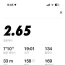 타이트짐 이미지