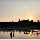 정(正)공인중개사사무소 이미지