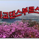 사교댄스(기초) 이미지