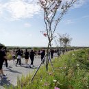 황금들녘 이미지