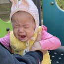 참치사랑 이미지