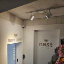네스트의원 | 강남역,신논현역에 새로오픈한 피부과! 네스트의원 올리지오 후기