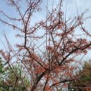 율하체육공원 생태연못 | 난지생태공원과 하늘노을공원 산책