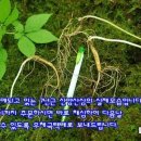 산야유통 이미지