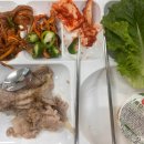한국농수산대학교 네이버블로그