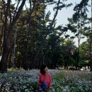 삼문동둔치길(삼문송림) | ※밀양 삼문수원지 구절초와 달팽이전망대...