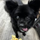 메가엠지씨커피 중랑역점 | 메가커피 라면땅 신메뉴 엠지씨네 라면땅 칼로리 가격 내돈내산 가성비