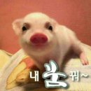 꿈나라 - 구로구 | 꿈나라