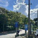 예산-30 | 충남 예산 덕산 스플라스 리솜 평수기 8/30 이용 후기