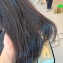 하미용실 | 하남 감일동미용실 루미에르헤어 클리닉잘하는집