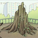 느티나무공방 이미지