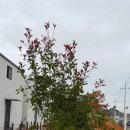 엘도라풀빌라펜션 이미지