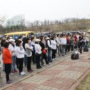 해양중학교 무궁화 식목행사(4. 13) 이미지