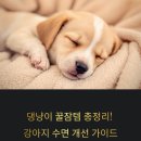 댕냥이네곳간 | 댕냥이 꿀잠템 총정리! 강아지 잠버릇 교정 &amp; 편안한 잠자리 만들기
