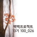 심오한프로젝트 네이버블로그