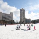 휘닉스파크 이미지