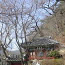 산수양돈 | 매당 양돈(楊敦)의 임실 광제정(光霽亭)