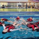 서촌초교 이미지