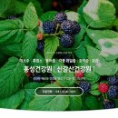 한국흑염소건강원
