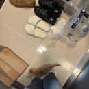 언더독 | 고양이 방묘문 설치 | 언더독 103 내돈내산 사용 후기