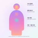 헬스코리아 | NMN영양제, 아무거나 고르면 안 되는 이유!(내돈내산 구입후기)