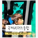 (주)제주해양레저체험파크 | 제주 잠수함 체험 제주도 아이랑 추천 반잠수함 내돈내산