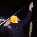 영일대 인생펜션 이미지