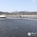 남도젓갈 - 양천구 화곡로8길 8 | 남도젓갈