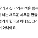 파운디스트