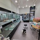 댕댕이 이쁘개 이미지