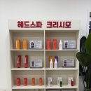 직장인 점심시간 힐링! 헤드스파크리스모 두피 스케일링 후기