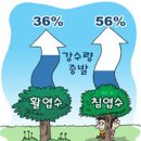 소나무 참나무 숲 이미지