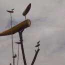 애리세탁소 이미지