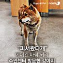 동천동 주민센터 이미지