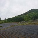 통나무밸리 이미지