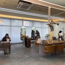 다옴헤어 이미지