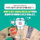세종하이치과 이미지