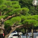 청라회관 이미지