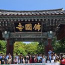 월성중학교 이미지