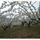 이화농원 이미지