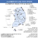 대명산업 | 11월 세번째 대명소노그룹 주간 업계동향 및 경제이슈-트럼프 시즌2 &#34;떡상&#34; 기대되는 국내 기업은?