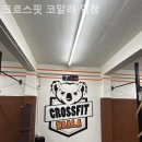 크로스핏 코알라 네이버블로그