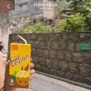 VITA | [후기] 홍콩 VITA 레몬티 VLT / 홍콩 여행 필수 음료