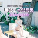 퍼플핑거 | 르망고 여성수영복 추천 매직퍼플 & 수영용품 후기
