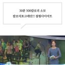 롸잇나우 점핑다이어트