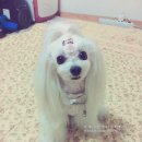 달샘 이미지